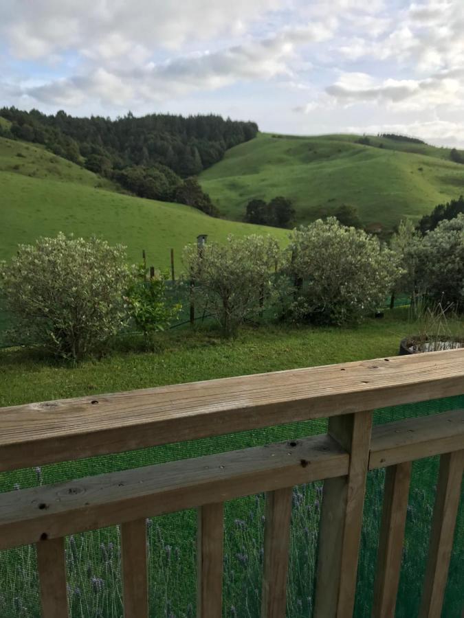 Tui Cottage Te Arai 外观 照片